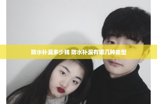 防水补漏多少钱 防水补漏有哪几种类型
