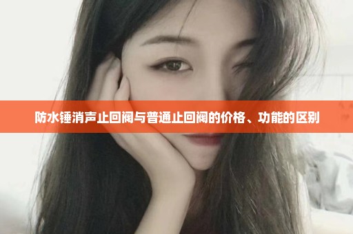 防水锤消声止回阀与普通止回阀的价格、功能的区别
