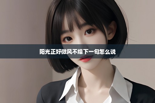 阳光正好微风不燥下一句怎么说