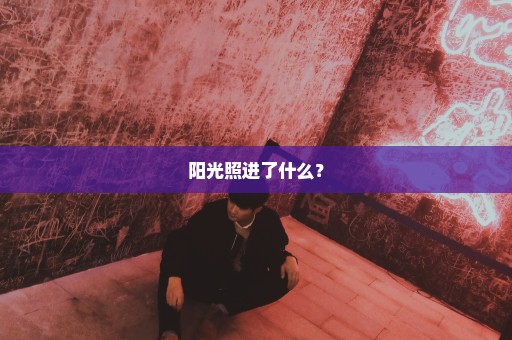 阳光照进了什么？