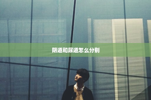阴道和尿道怎么分别