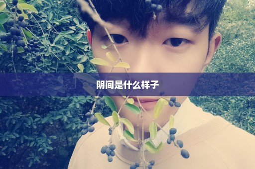 阴间是什么样子