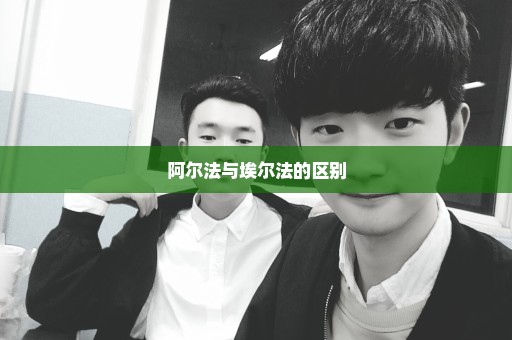 阿尔法与埃尔法的区别