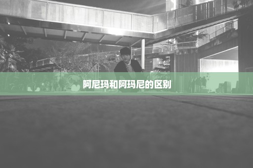 阿尼玛和阿玛尼的区别
