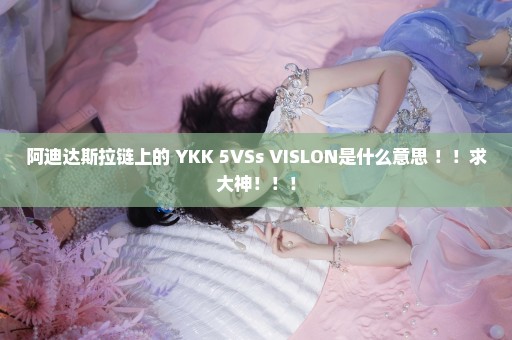 阿迪达斯拉链上的 YKK 5VSs VISLON是什么意思 ！！求大神！！！
