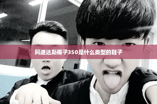 阿迪达斯椰子350是什么类型的鞋子