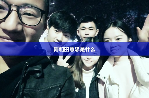 附和的意思是什么