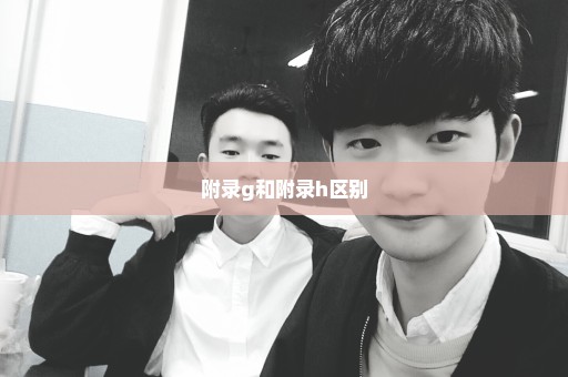 附录g和附录h区别