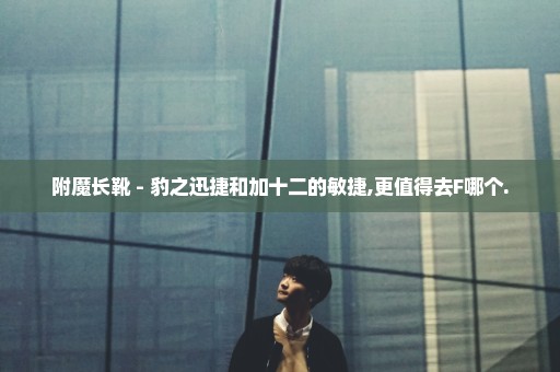 附魔长靴 - 豹之迅捷和加十二的敏捷,更值得去F哪个.