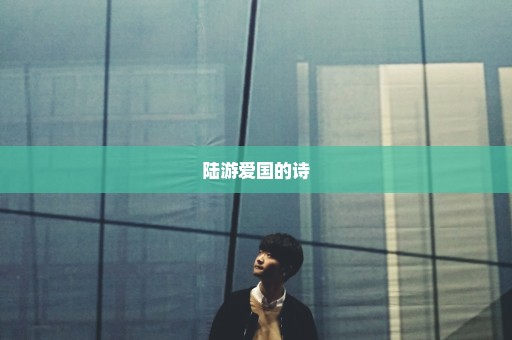 陆游爱国的诗