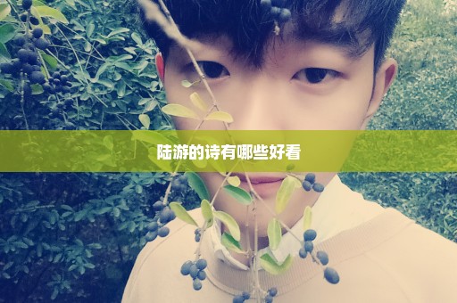 陆游的诗有哪些好看