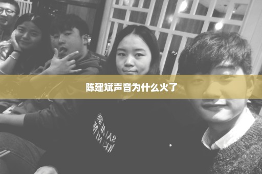 陈建斌声音为什么火了