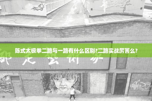 陈式太极拳二路与一路有什么区别?二路实战厉害么?