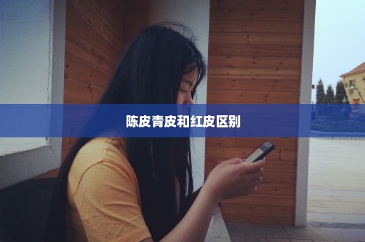 陈皮青皮和红皮区别