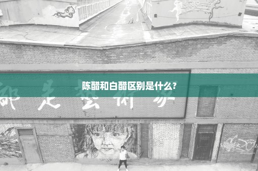 陈醋和白醋区别是什么?
