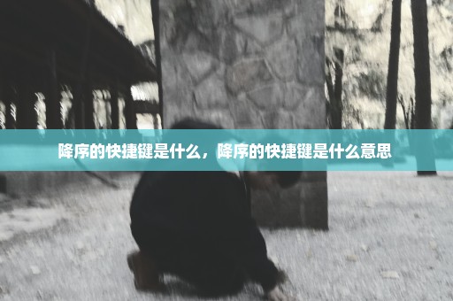 降序的快捷键是什么，降序的快捷键是什么意思 