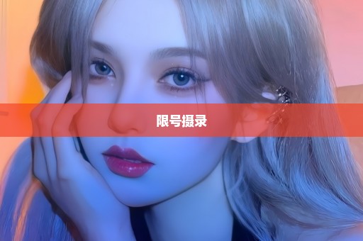 限号摄录