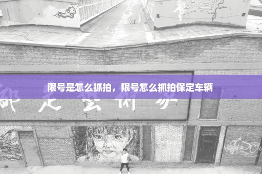 限号是怎么抓拍，限号怎么抓拍保定车辆 
