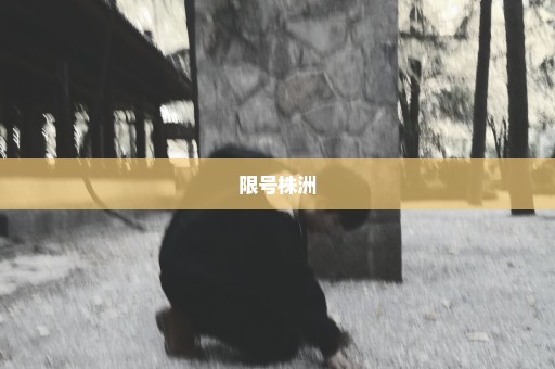 限号株洲