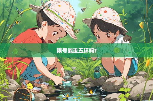 限号能走五环吗?
