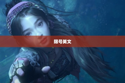 限号英文
