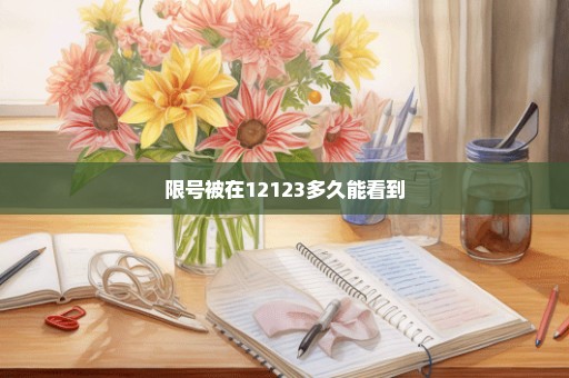 限号被在12123多久能看到