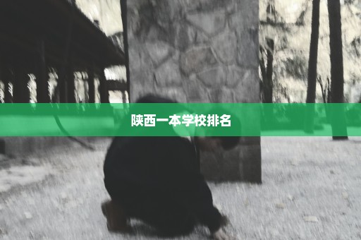 陕西一本学校排名