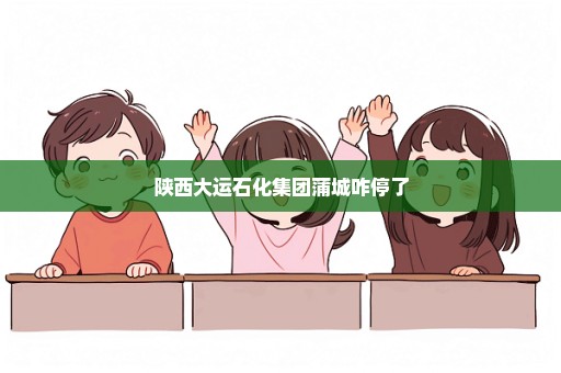 陕西大运石化集团蒲城咋停了