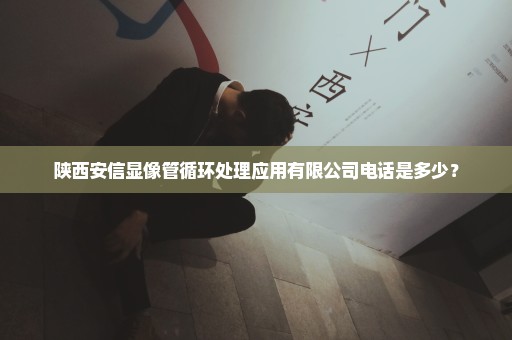 陕西安信显像管循环处理应用有限公司电话是多少？