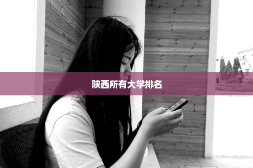 陕西所有大学排名