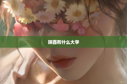 陕西有什么大学