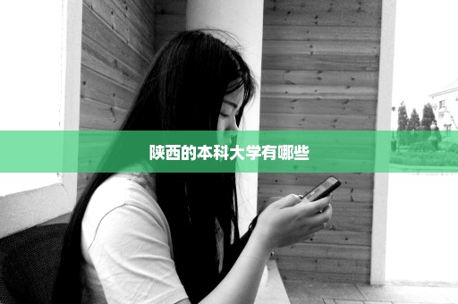 陕西的本科大学有哪些