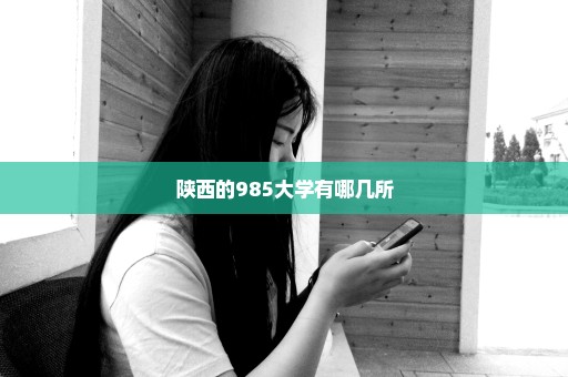 陕西的985大学有哪几所