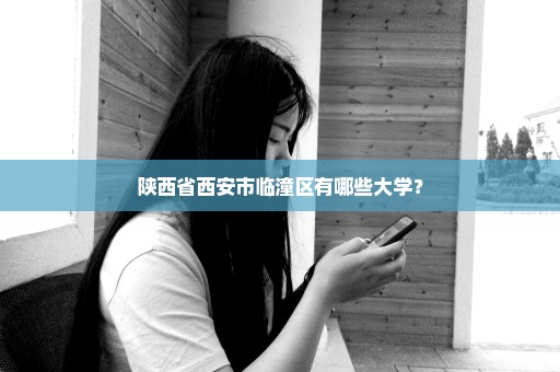陕西省西安市临潼区有哪些大学？
