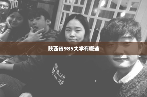 陕西省985大学有哪些