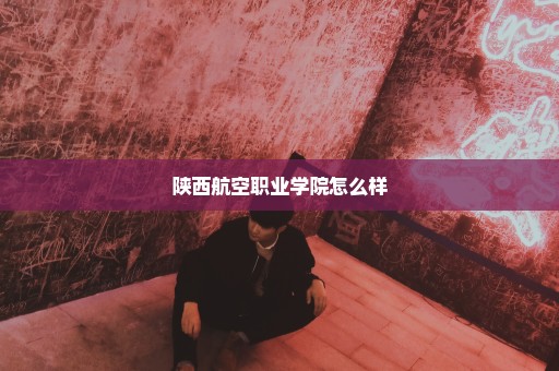 陕西航空职业学院怎么样