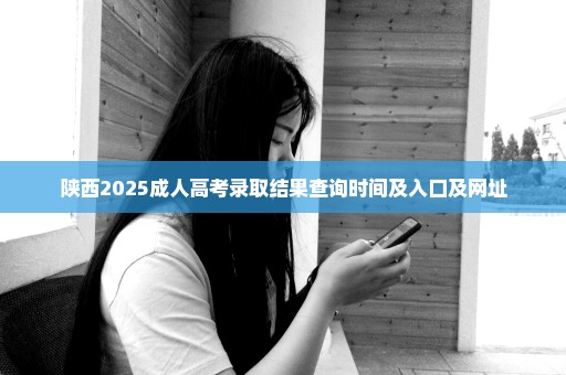 陕西2025成人高考录取结果查询时间及入口及网址