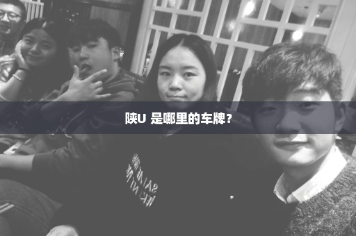 陕U 是哪里的车牌？
