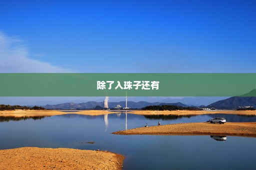 除了入珠子还有