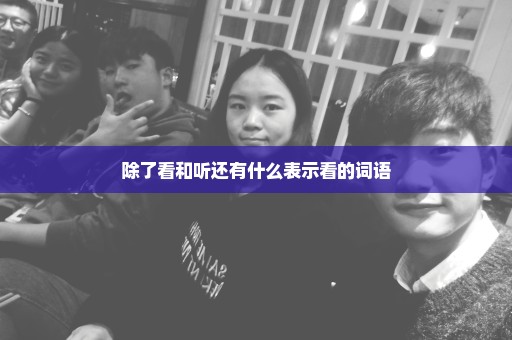 除了看和听还有什么表示看的词语