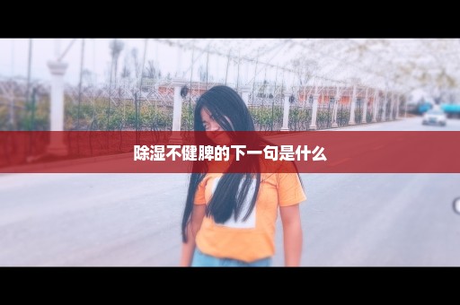 除湿不健脾的下一句是什么