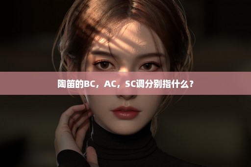 陶笛的BC，AC，SC调分别指什么？