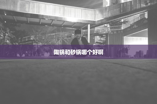 陶锅和砂锅哪个好啊