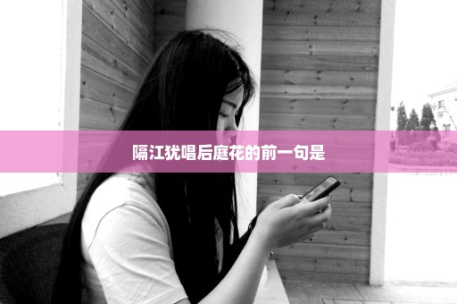 隔江犹唱后庭花的前一句是