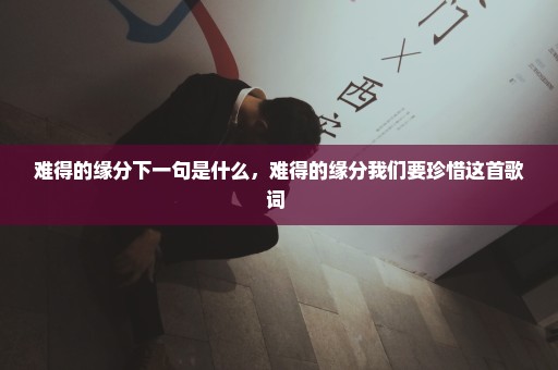 难得的缘分下一句是什么，难得的缘分我们要珍惜这首歌词 