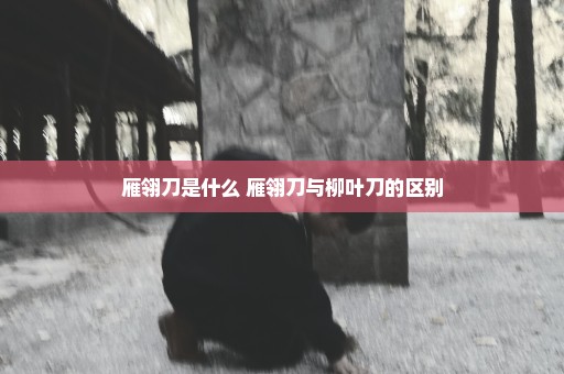 雁翎刀是什么 雁翎刀与柳叶刀的区别