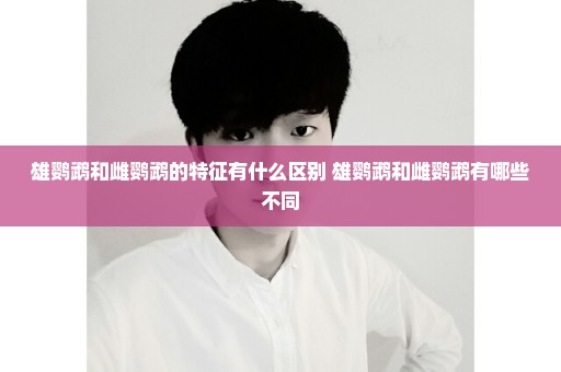 雄鹦鹉和雌鹦鹉的特征有什么区别 雄鹦鹉和雌鹦鹉有哪些不同