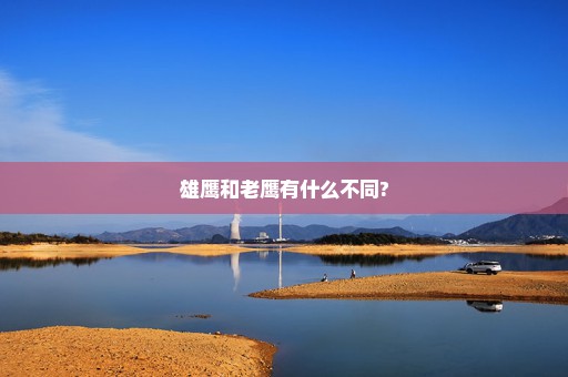 雄鹰和老鹰有什么不同?