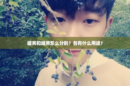 雄黄和雌黄怎么分别？各有什么用途？