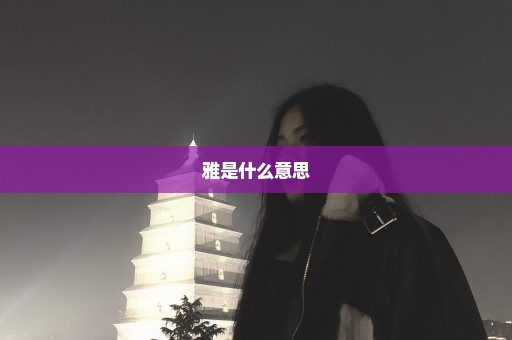 雅是什么意思